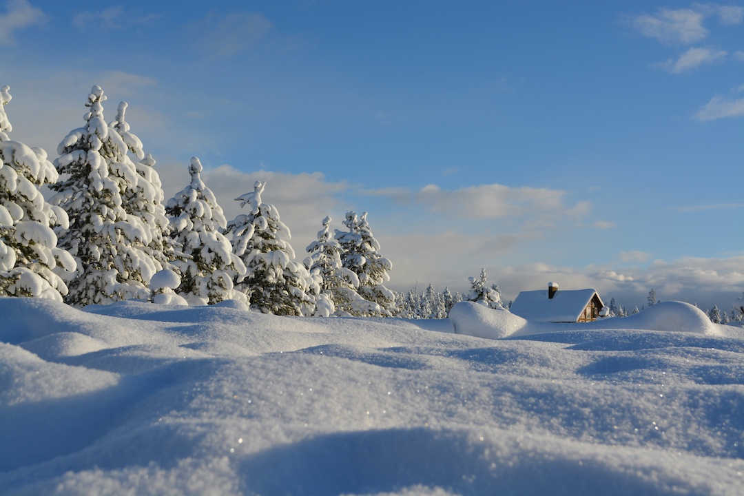 Beautiful winter day with snow-filled pines
